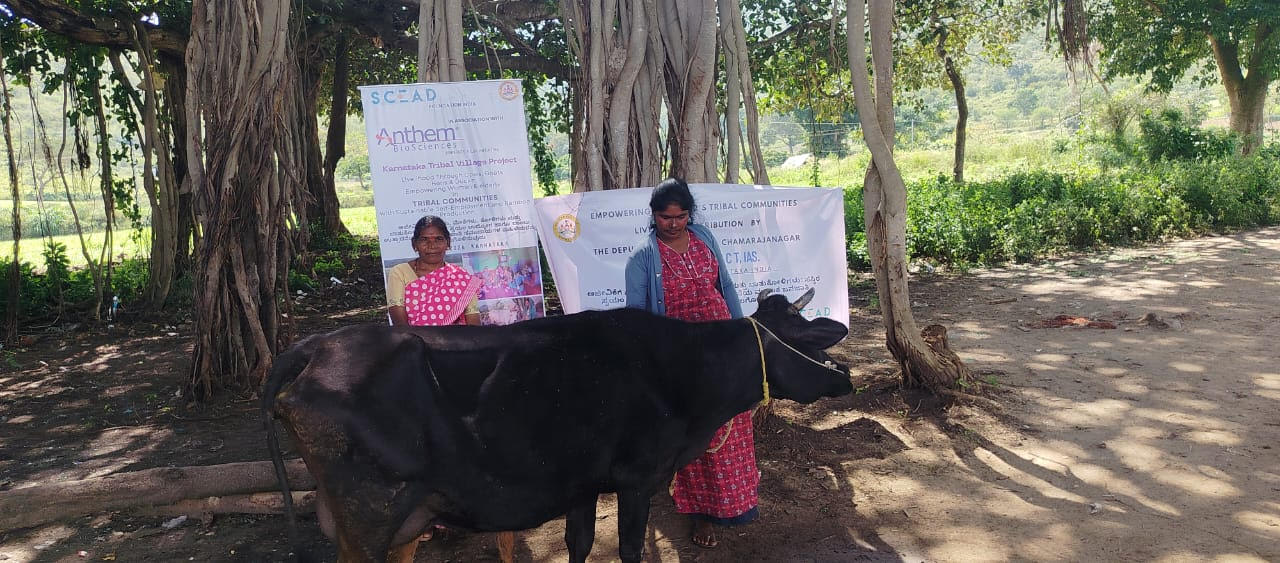 10 Years of Impact in Bandipur Tribal Village