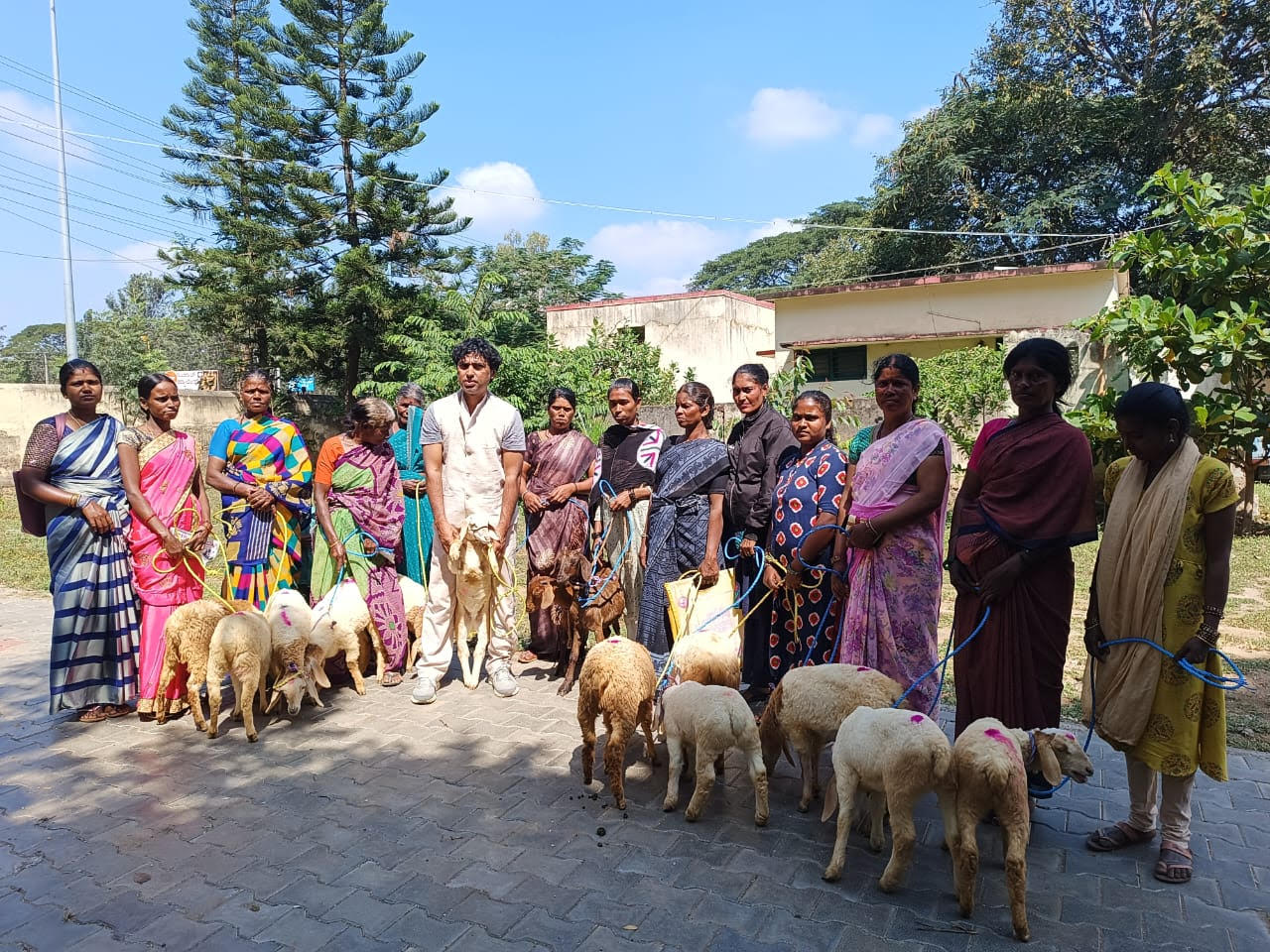 SCEAD Foundation livestock distribution to tribal women